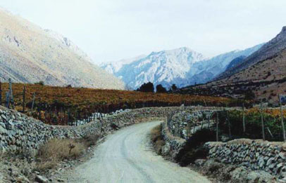 Alcoguaz, Valle de Elqui