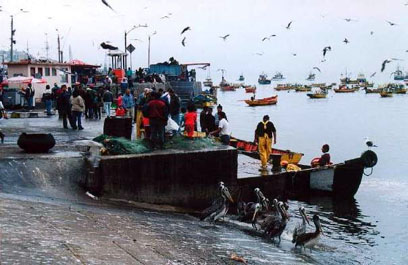 P��stav v Coquimbu